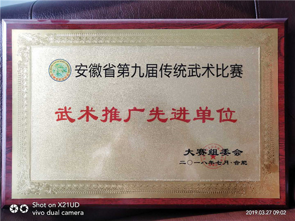 武术推广先进单位